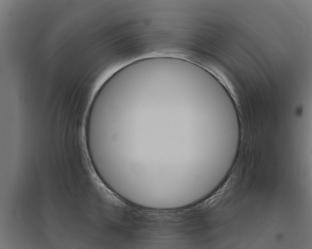 X0000094790952200711241359