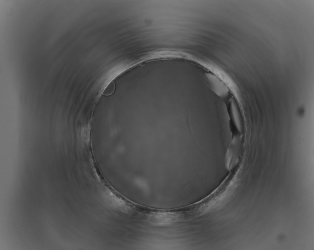 X0000094790953200711241359