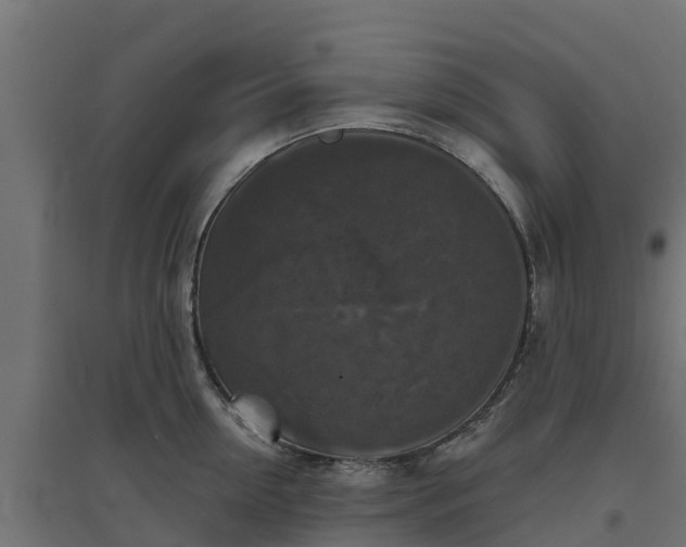 X0000094790954200711241359