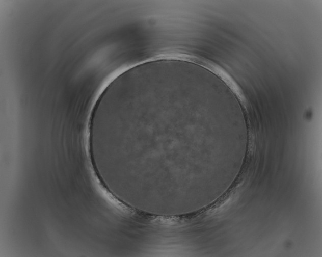 X0000094790955200711241359