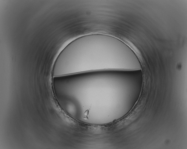 X0000094790956200711241359