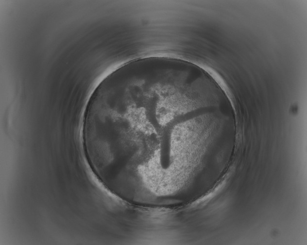 X0000094790957200711241359