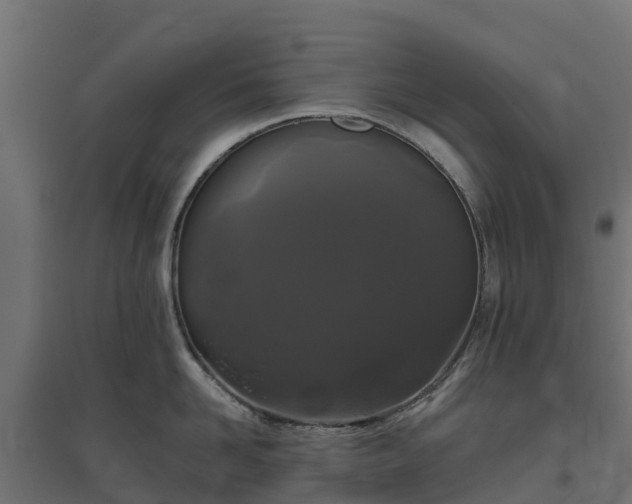 X0000094790958200711241359