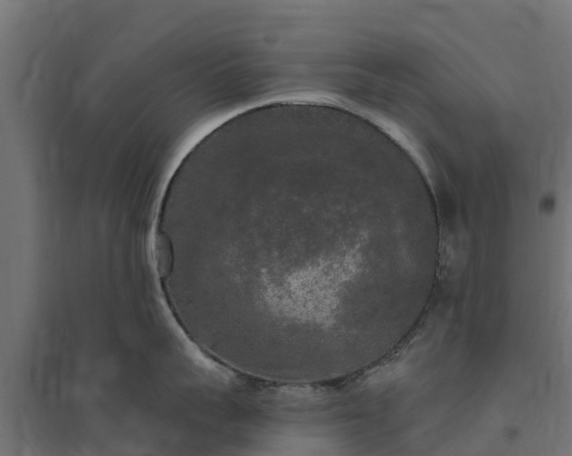 X0000094790959200711241359