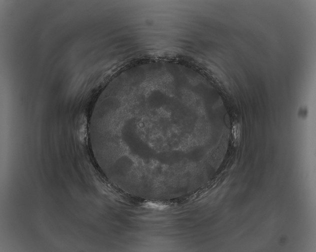 X0000094790963200711241358