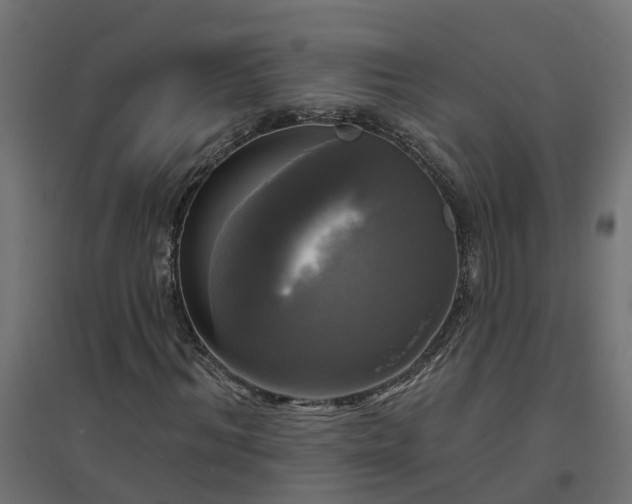 X0000094790964200711241358