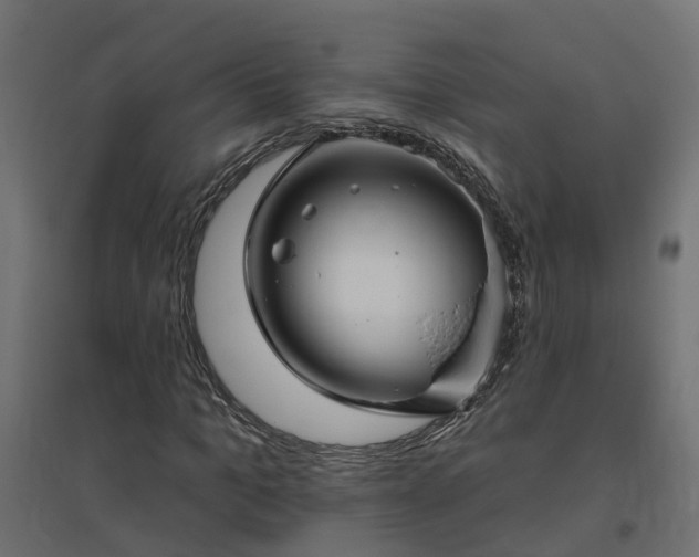 X0000094790965200711241358