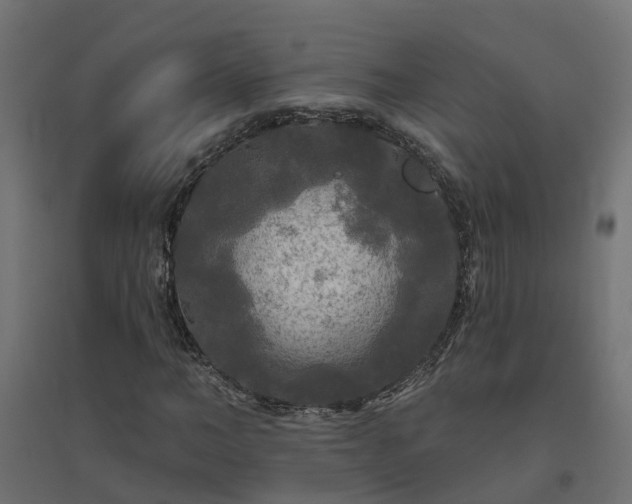 X0000094790966200711241358