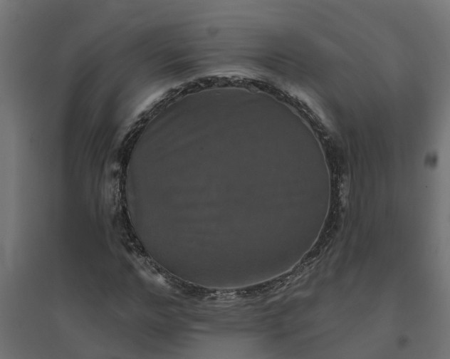 X0000094790968200711241358