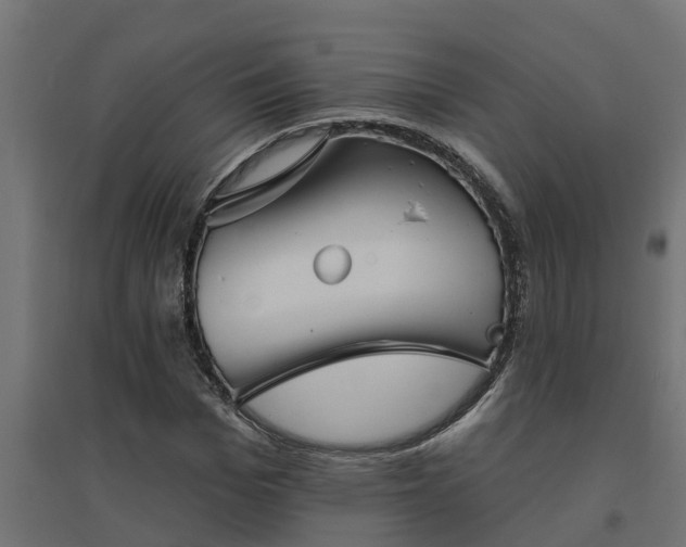 X0000094790969200711241358