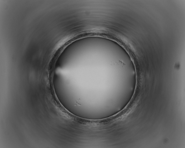 X0000094790970200711241358