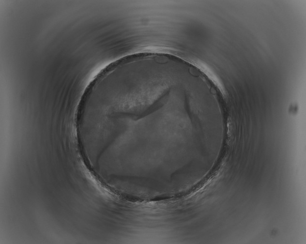 X0000094790972200711241358