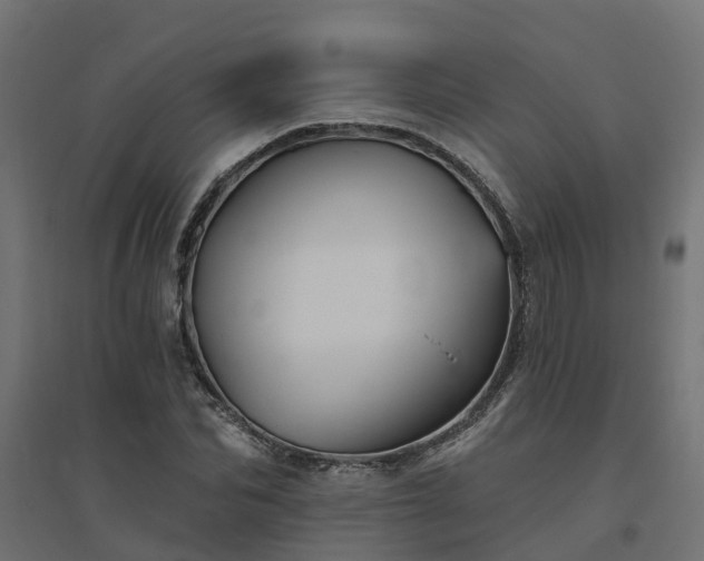 X0000094790974200711241358