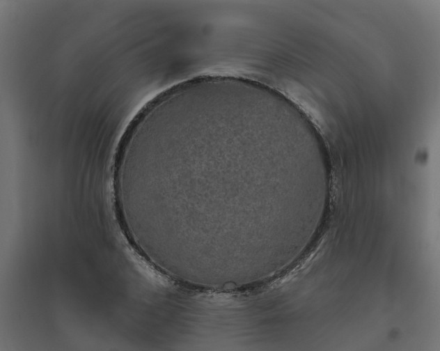 X0000094790976200711241358