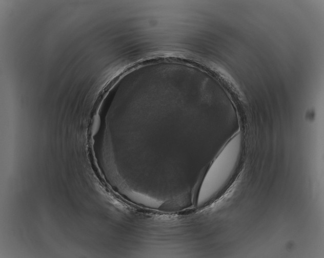 X0000094790977200711241358