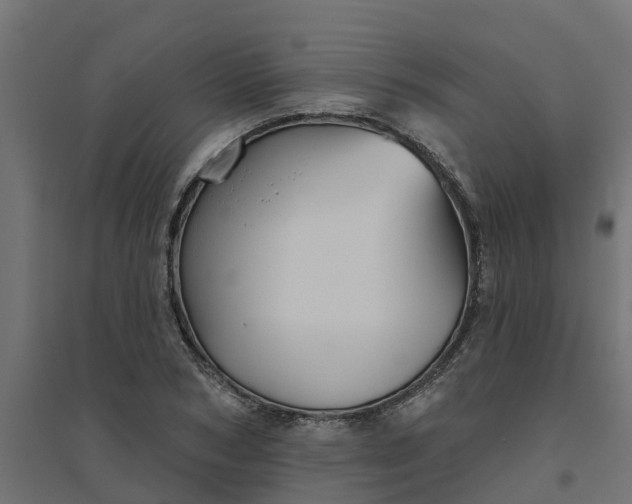 X0000094790978200711241358