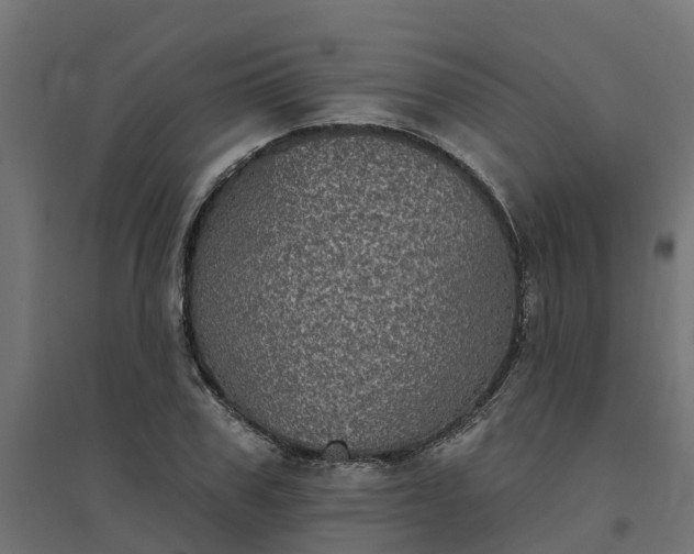 X0000094790979200711241358