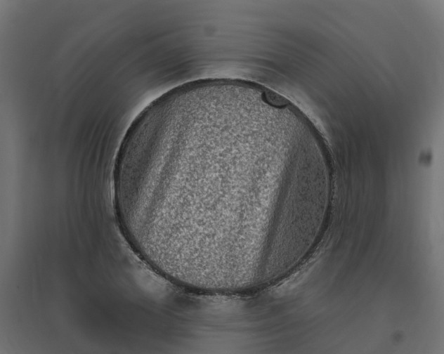 X0000094790980200711241358