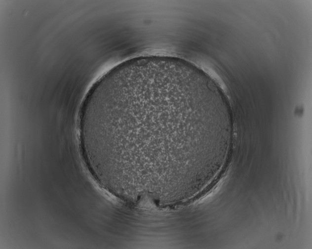 X0000094790981200711241358