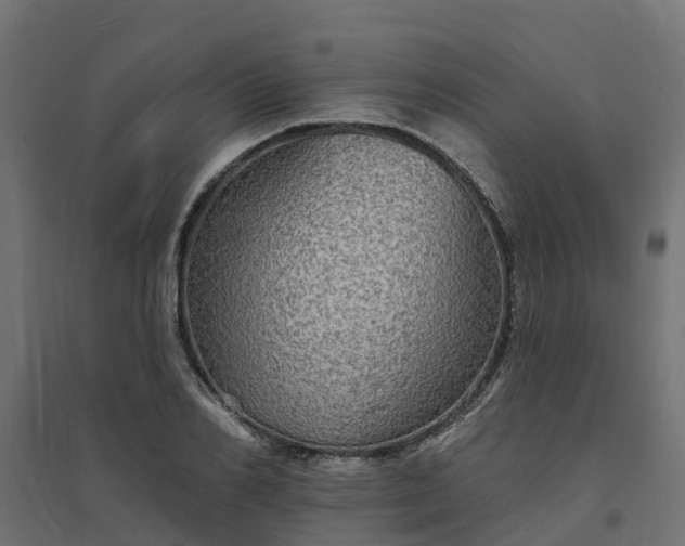 X0000094790982200711241358