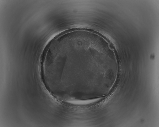 X0000094790983200711241358