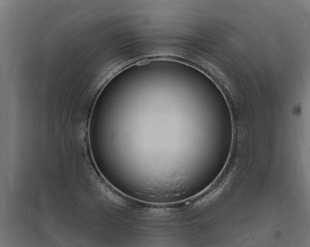 X0000094790985200711241358