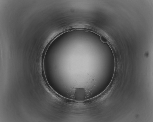 X0000094790986200711241358