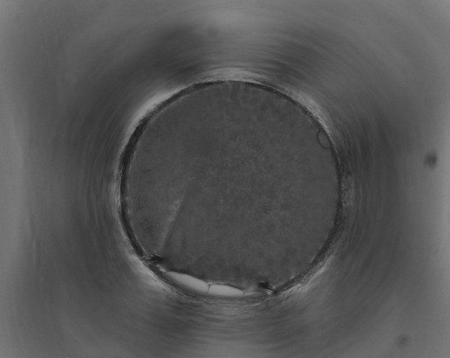 X0000094790987200711241358