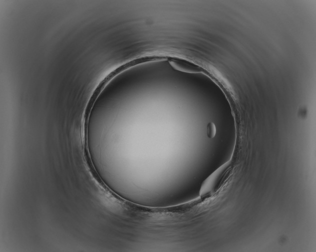 X0000094790988200711241358