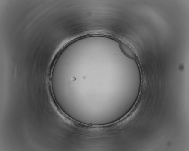 X0000094790989200711241358