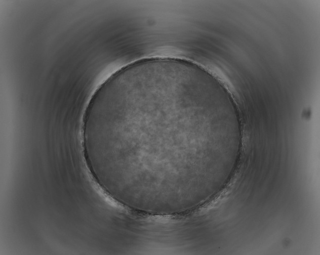 X0000094790990200711241358