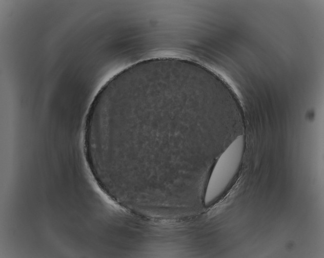 X0000094790991200711241358