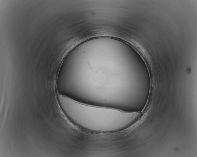 X0000094790993200711241357