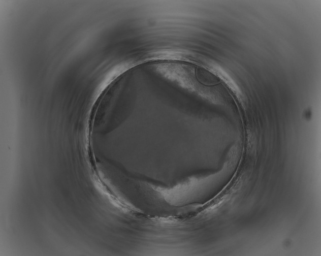 X0000094790994200711241357