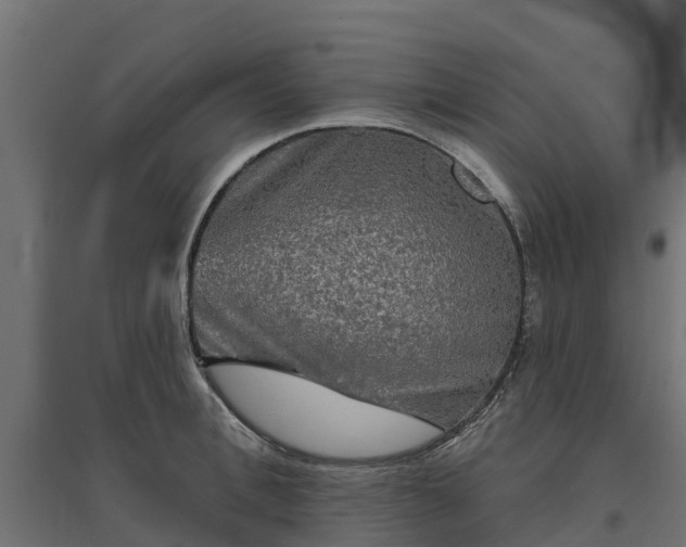 X0000094790996200711241357