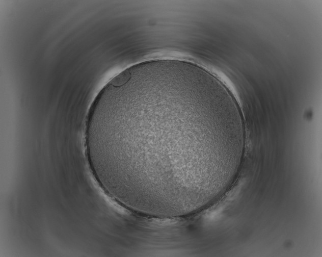 X0000094790997200711241357