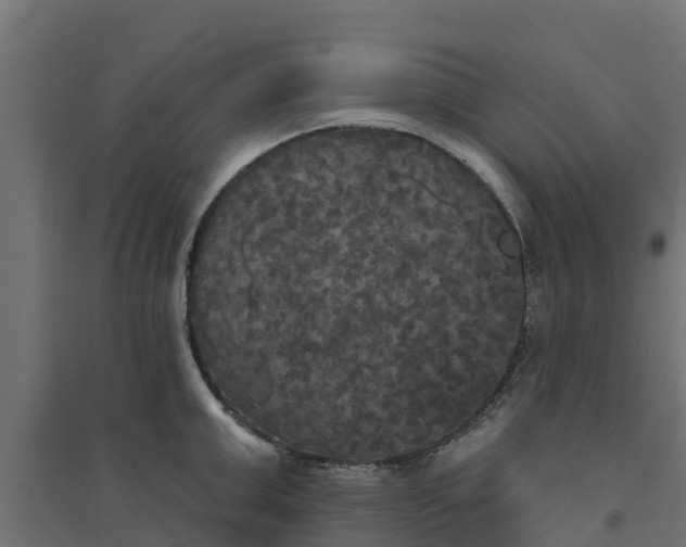 X0000094790999200711241357