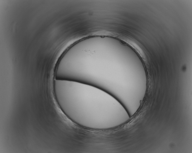 X0000094791000200711241357