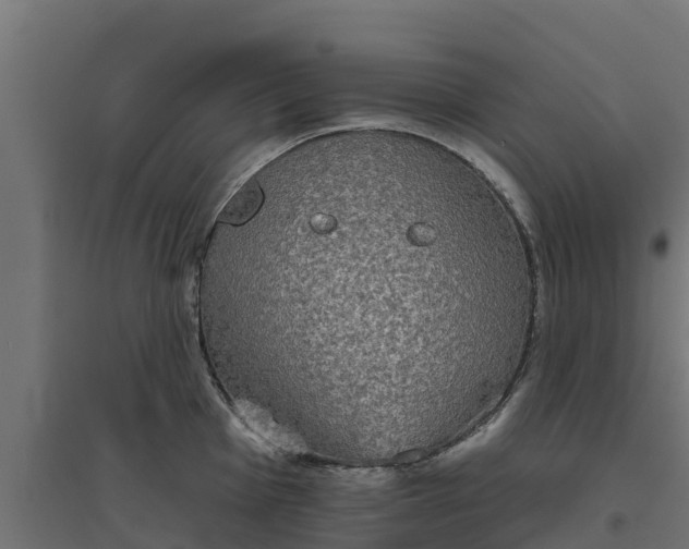 X0000094791001200711241357