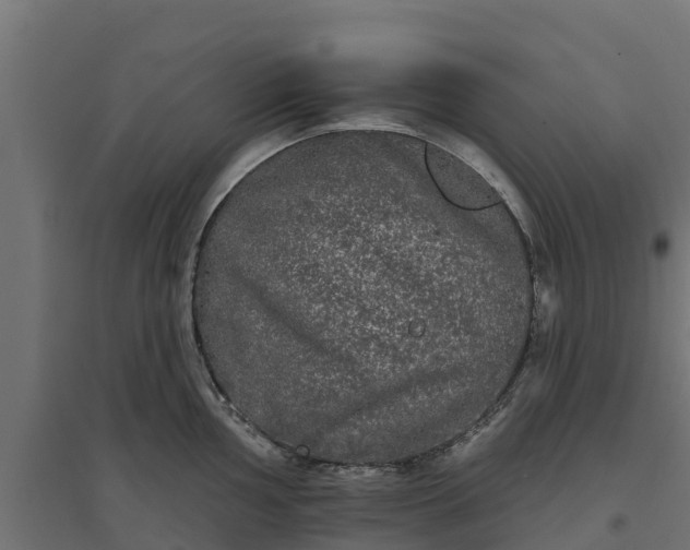 X0000094791002200711241357