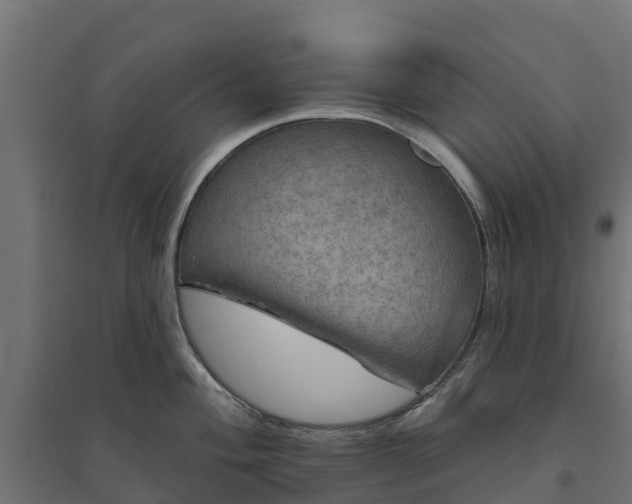 X0000094791004200711241357