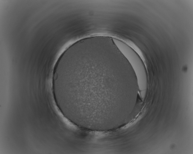 X0000094791005200711241357