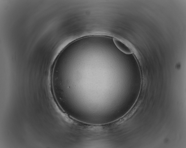 X0000094791006200711241357