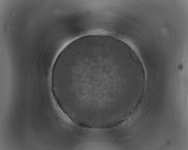 X0000094791008200711241357