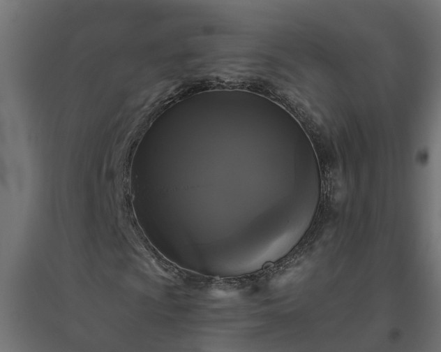 X0000094791009200711241357