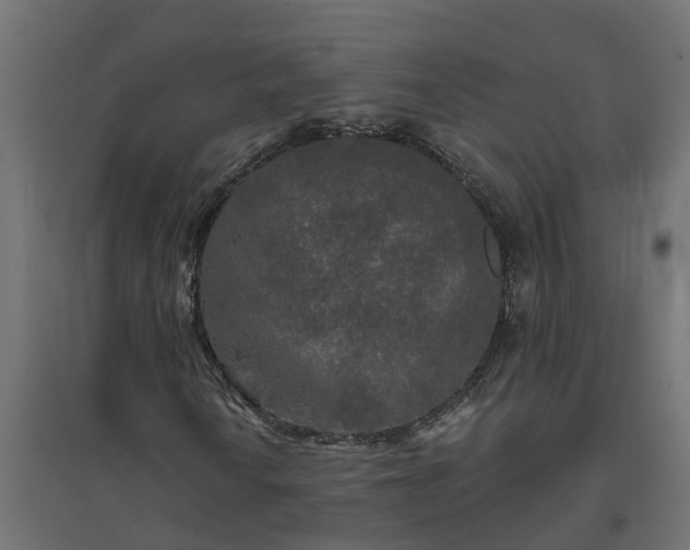 X0000094791010200711241357