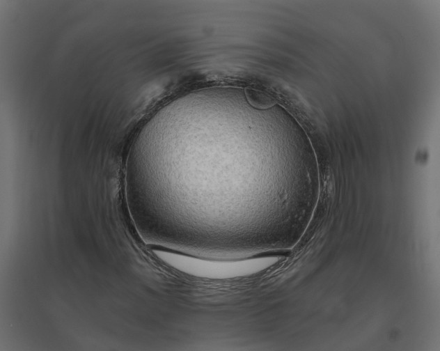 X0000094791012200711241357