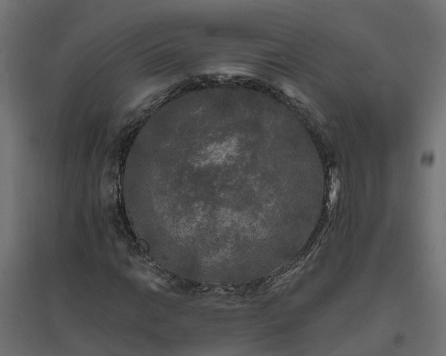 X0000094791014200711241357