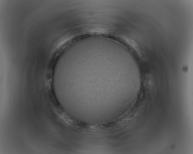 X0000094791015200711241357