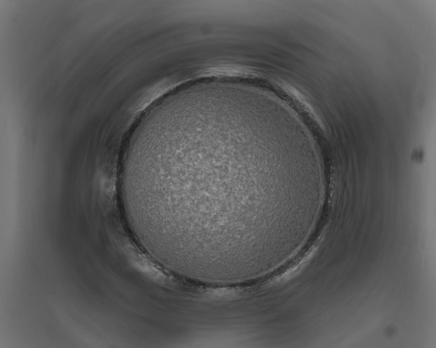 X0000094791017200711241357